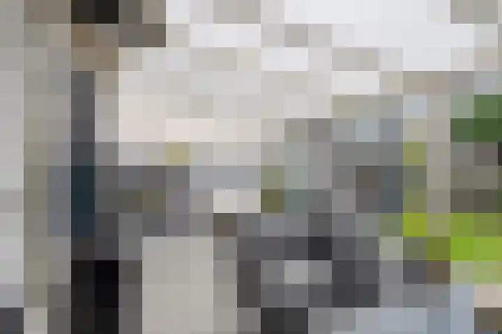 Kriegerstraat 15 Grave thumbnail 34