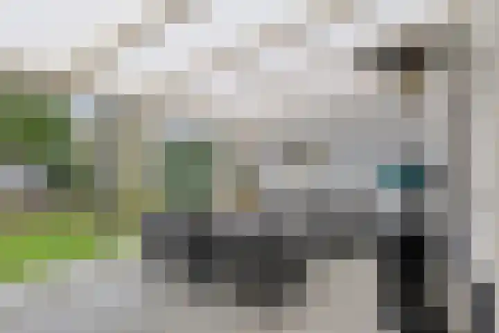 Kriegerstraat 15 Grave thumbnail 35