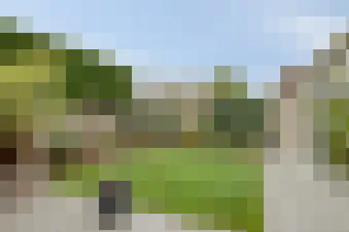 Kriegerstraat 15 Grave thumbnail 36