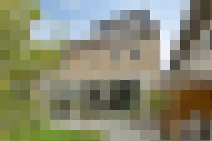 Kriegerstraat 15 Grave thumbnail 39