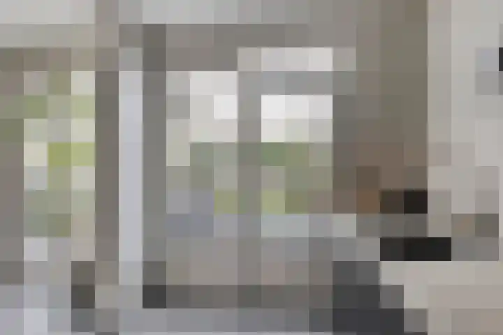 Kriegerstraat 15 Grave thumbnail 7