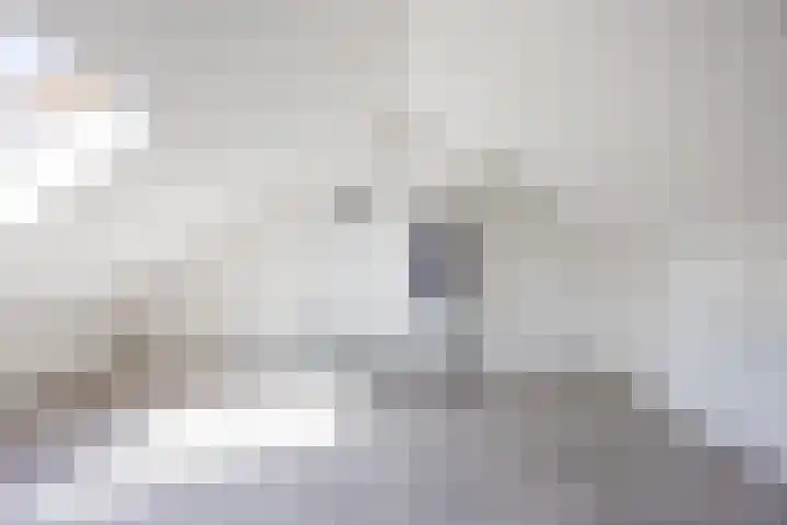 Kriegerstraat 17 Grave thumbnail 17