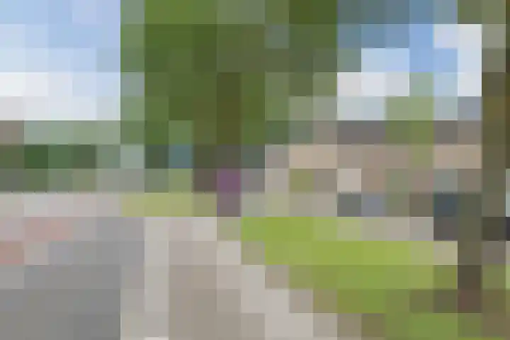 Kriegerstraat 17 Grave thumbnail 23