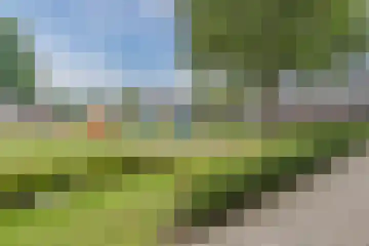 Kriegerstraat 17 Grave thumbnail 26