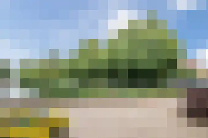 Kriegerstraat 17 Grave thumbnail 28