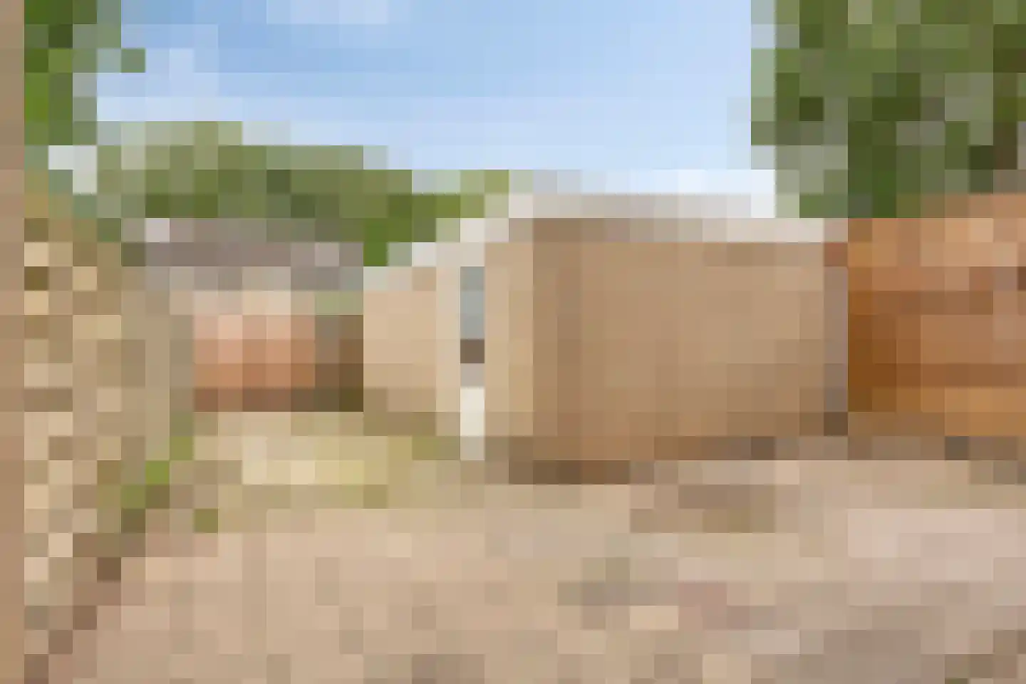 Kriegerstraat 22 Grave thumbnail 20