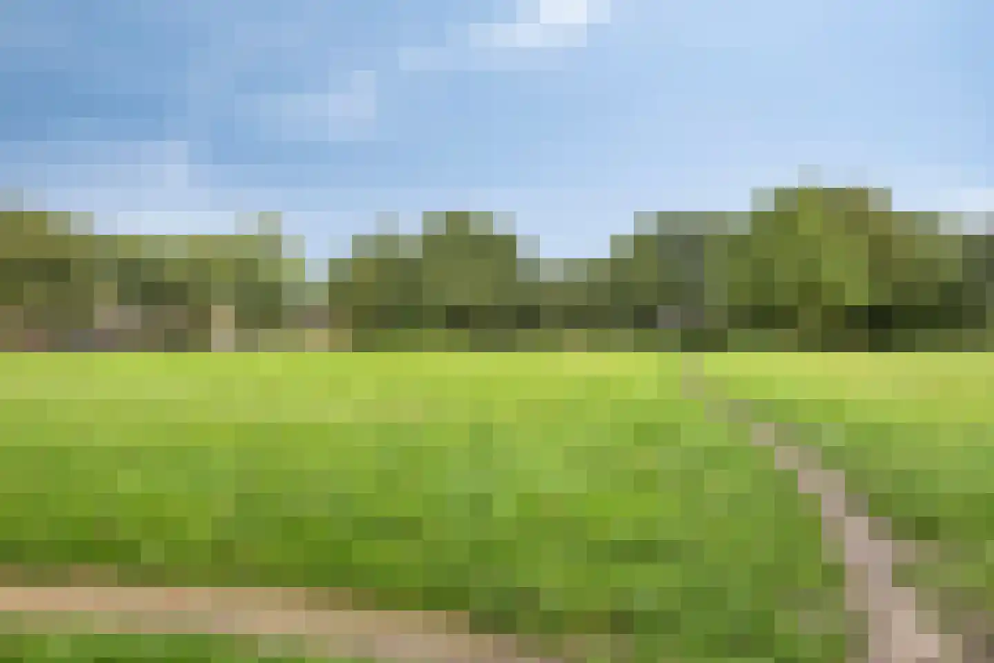 Kriegerstraat 22 Grave thumbnail 28