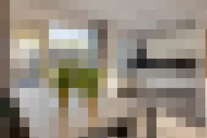 Kriegerstraat 31 Grave thumbnail 11