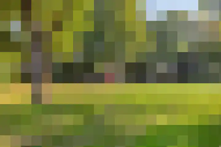 Kriegerstraat 31 Grave thumbnail 32