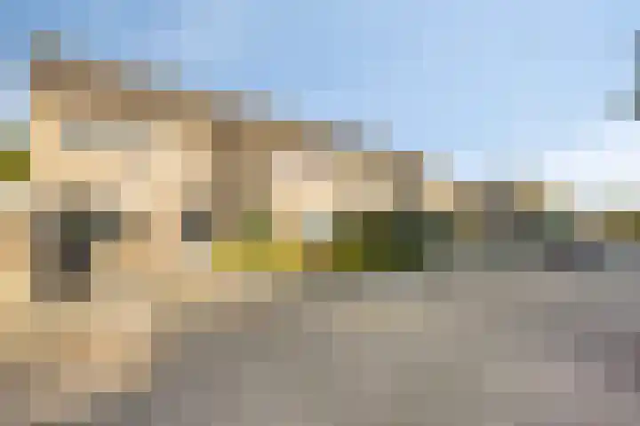 Kriegerstraat 31 Grave thumbnail 6