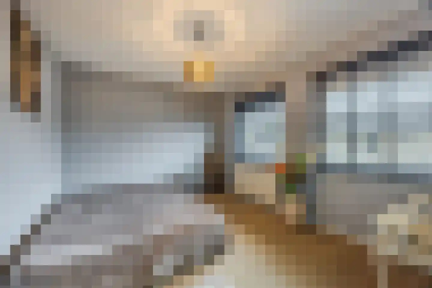 Kriegerstraat 34 Grave thumbnail 14