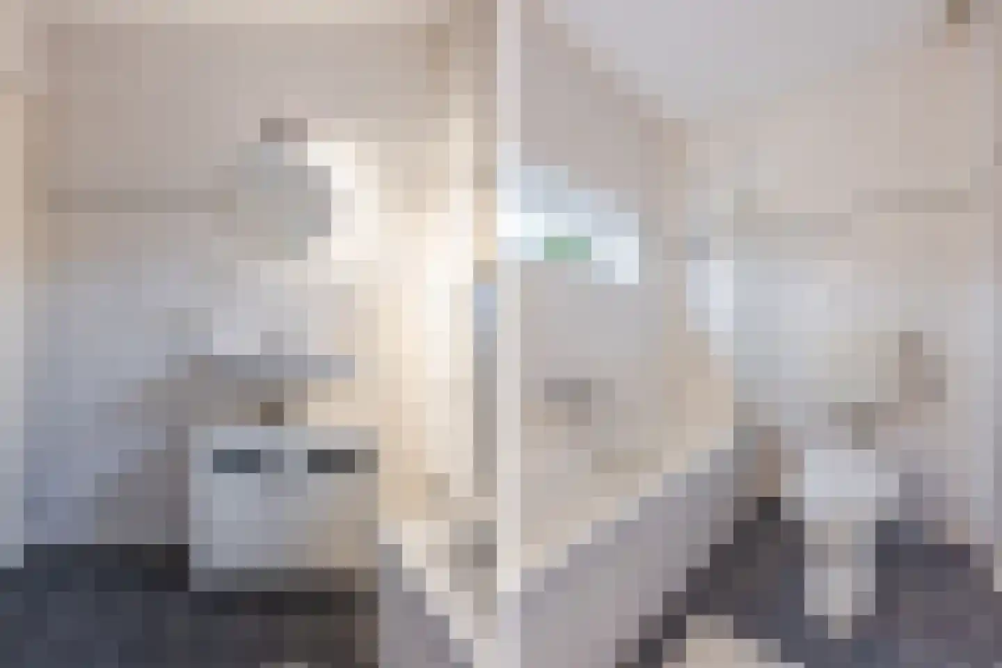 Kriegerstraat 34 Grave thumbnail 17