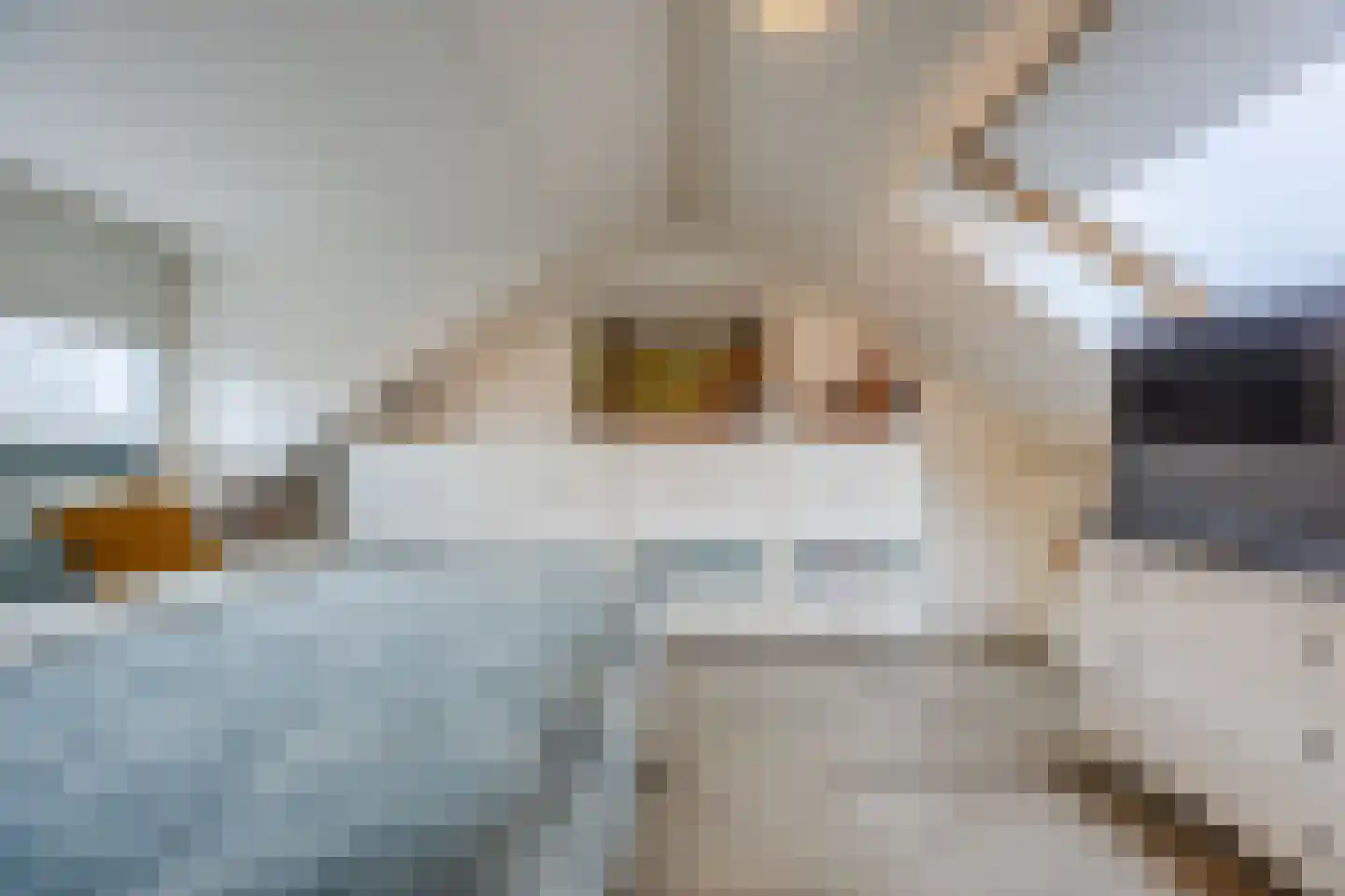 Kriegerstraat 34 Grave thumbnail 18