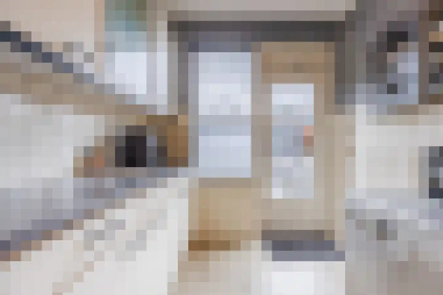 Kriegerstraat 34 Grave thumbnail 8