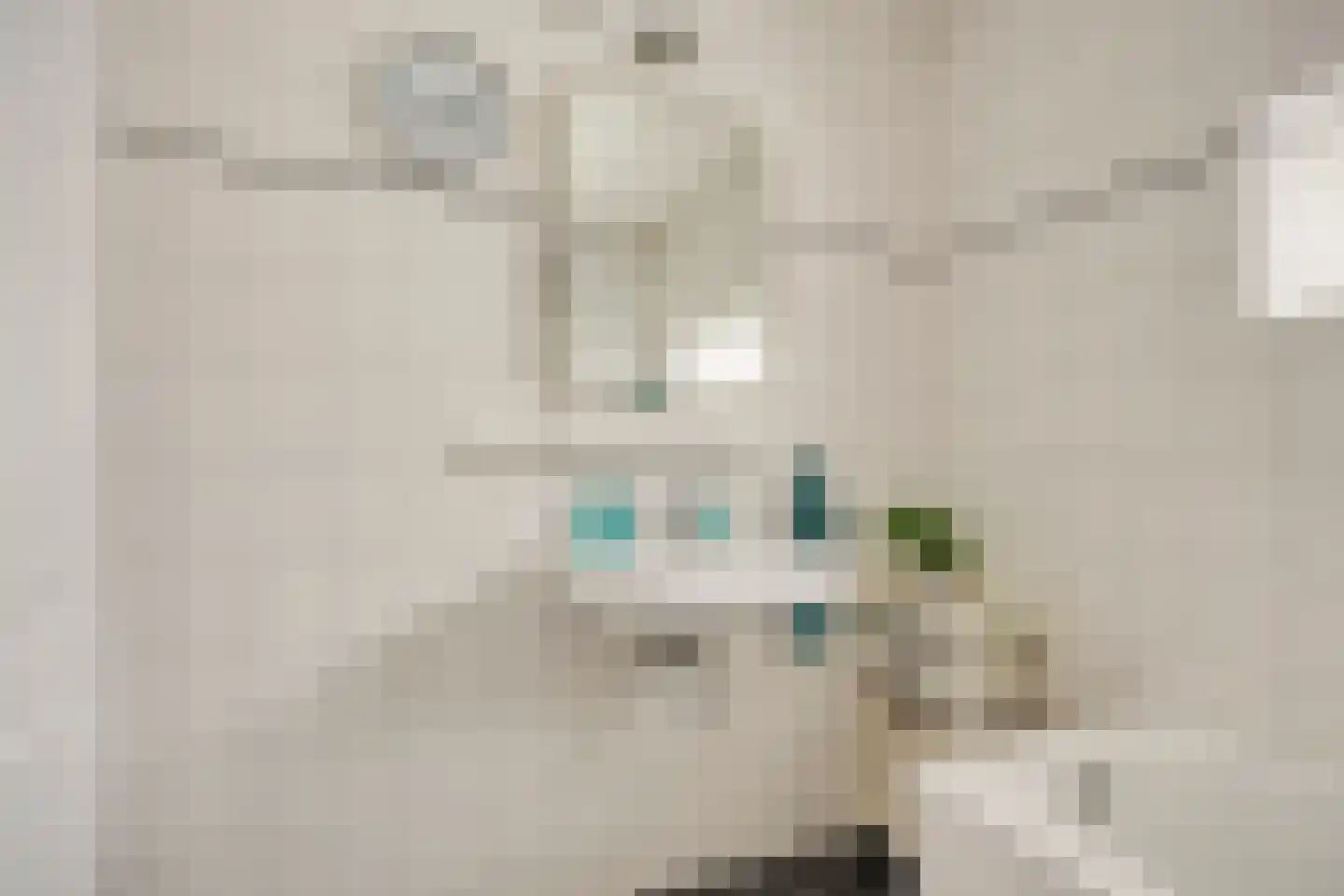 Kriegerstraat 8 Grave thumbnail 19