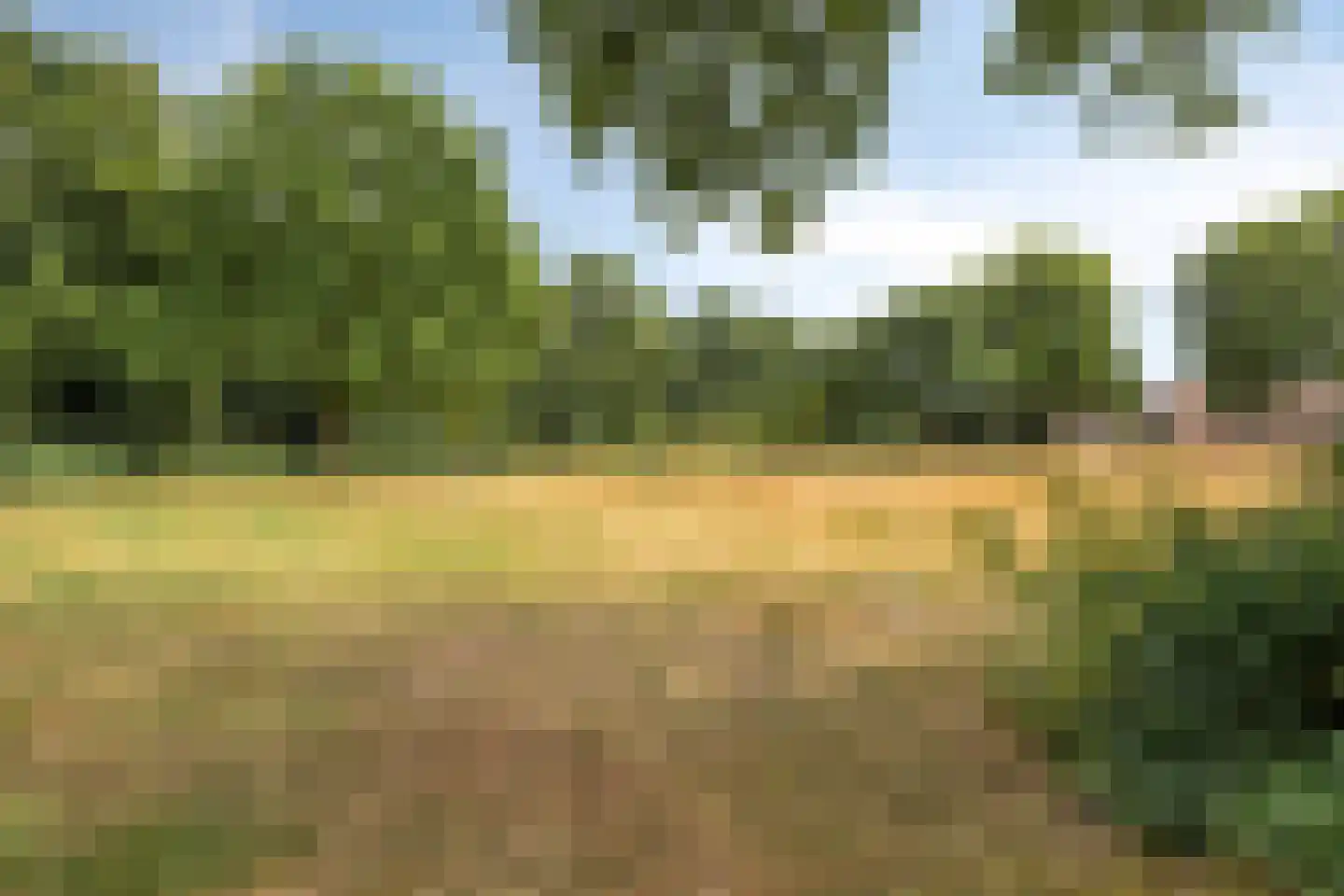 Kriegerstraat 8 Grave thumbnail 35