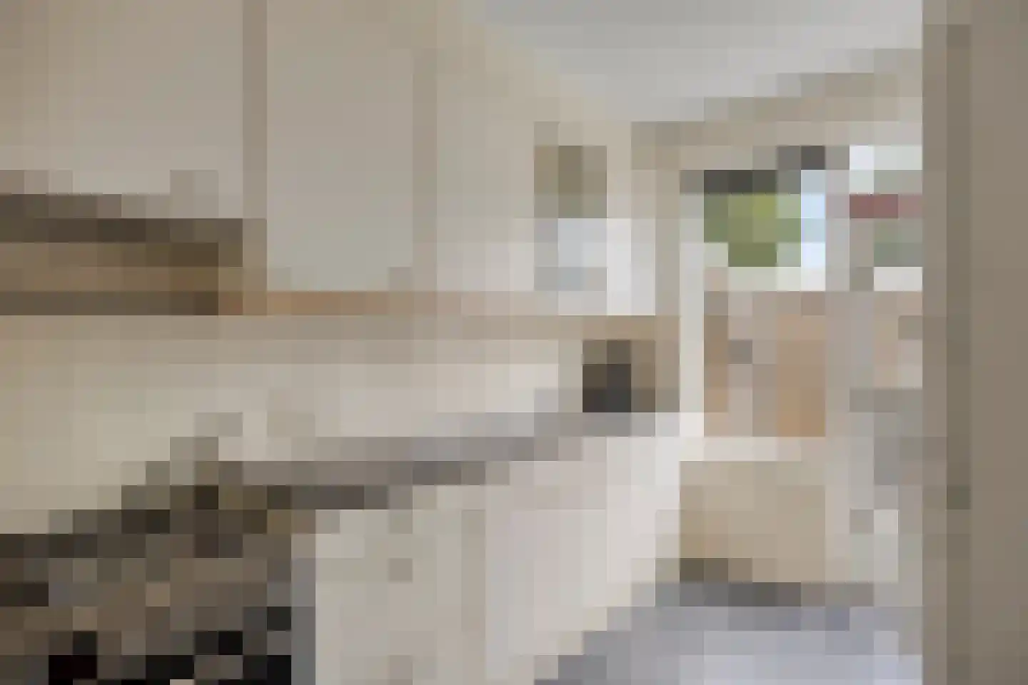Kriegerstraat 8 Grave thumbnail 6