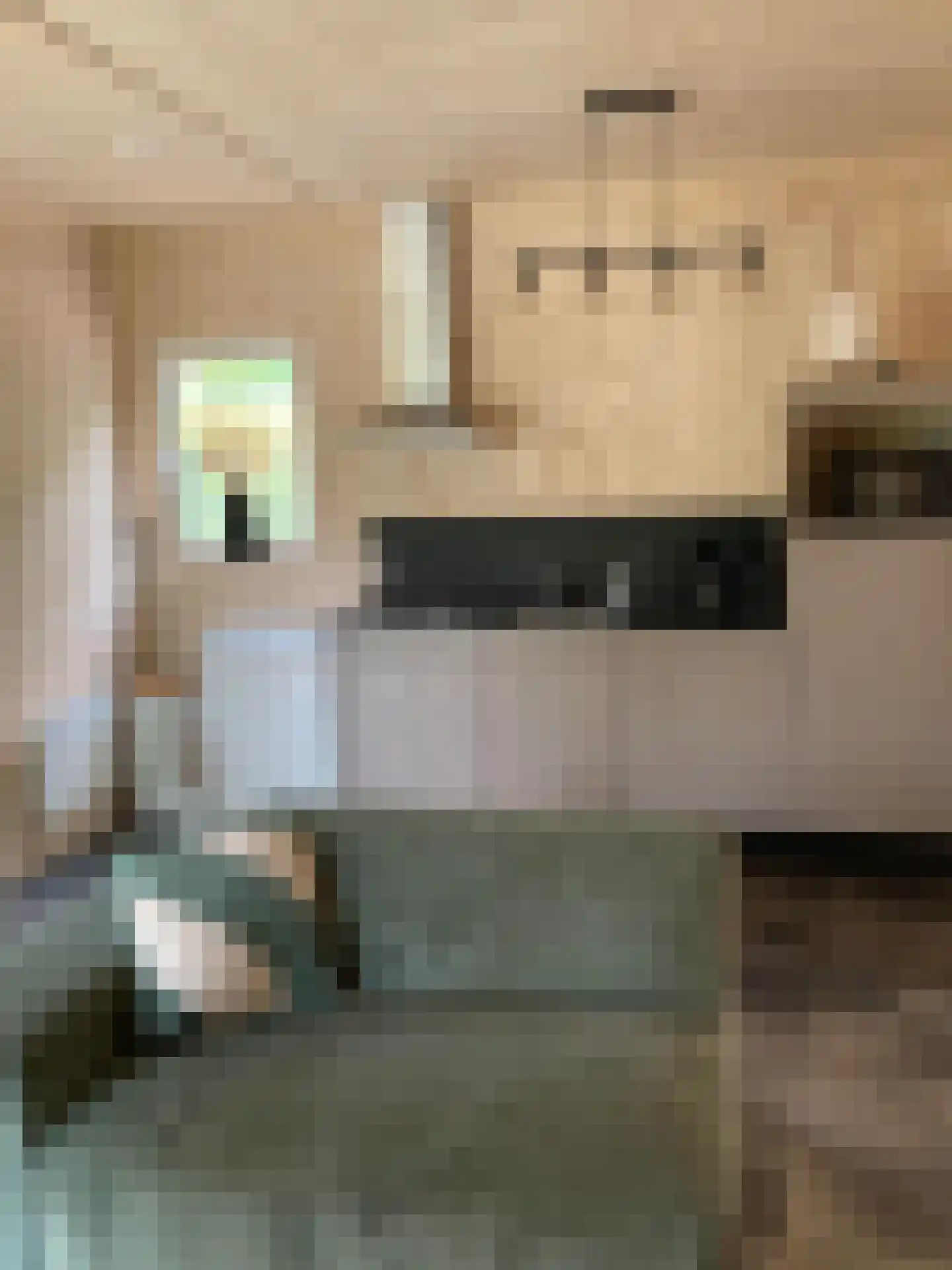 Krieghuisweg 19 Raalte thumbnail 11