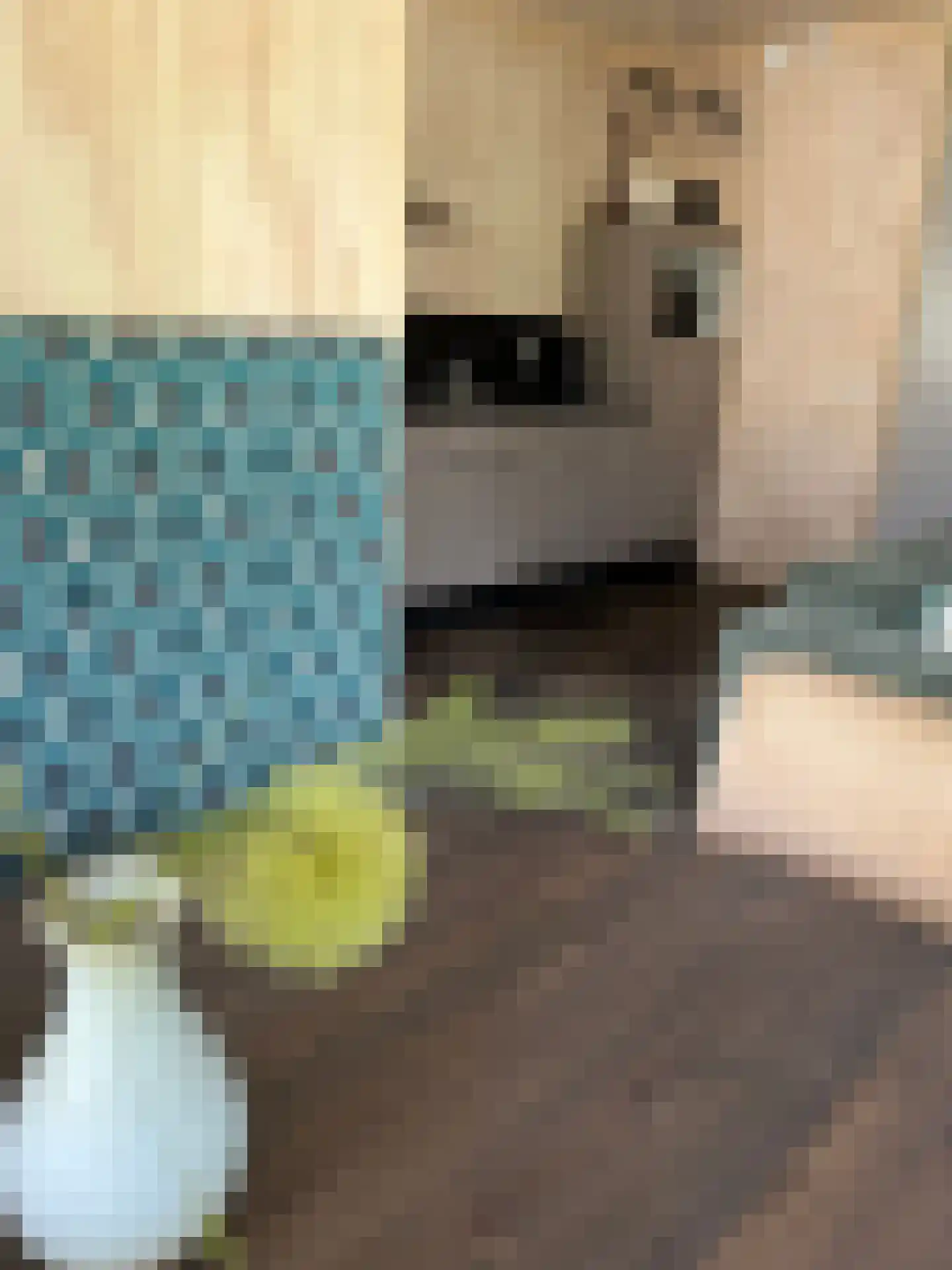 Krieghuisweg 19 Raalte thumbnail 13
