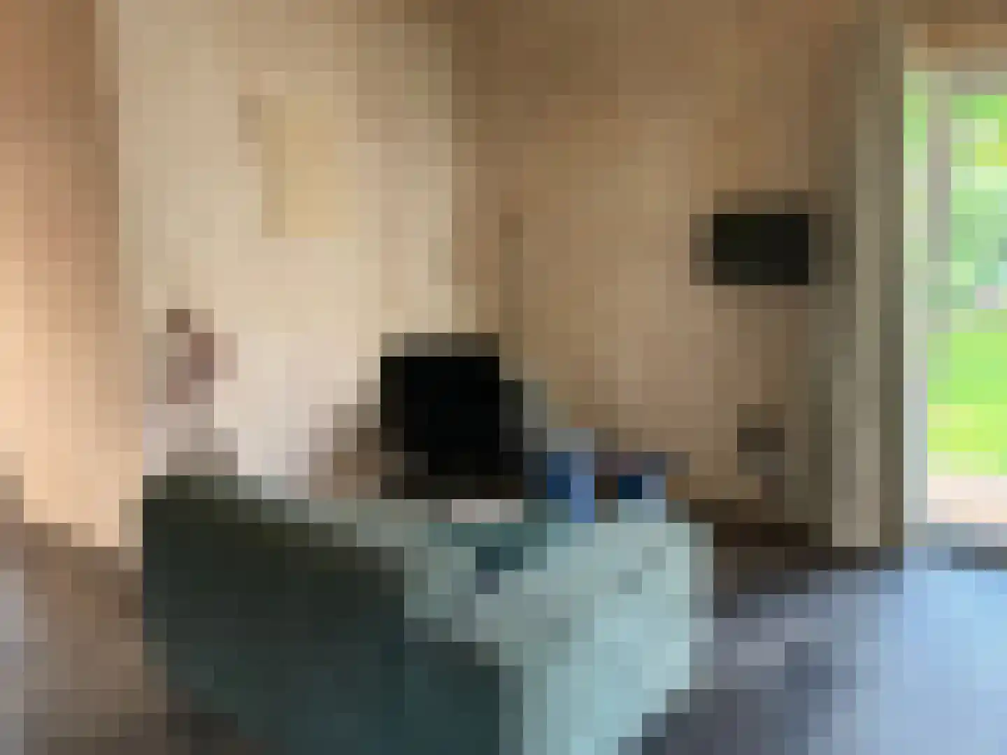 Krieghuisweg 19 Raalte thumbnail 8
