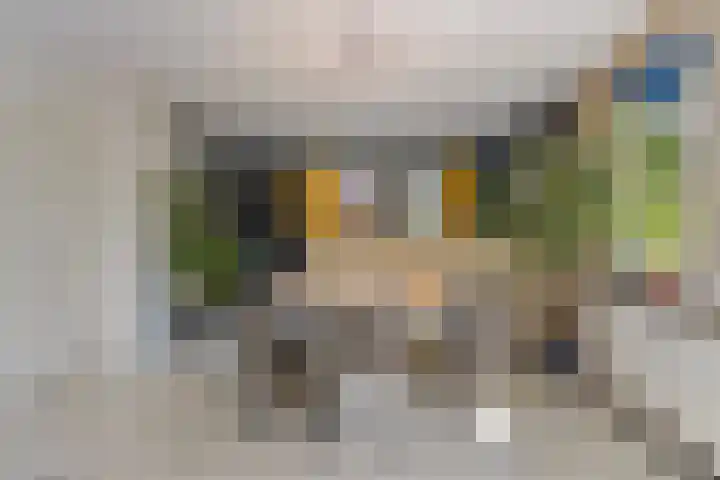 Kriekebos 35 Bergen op Zoom thumbnail 10