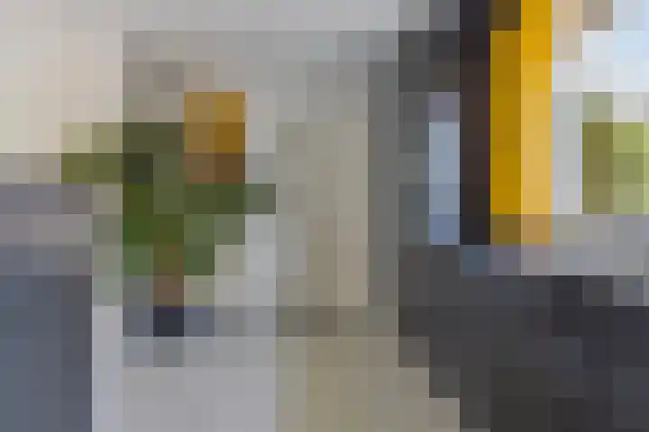 Kriekebos 35 Bergen op Zoom thumbnail 13