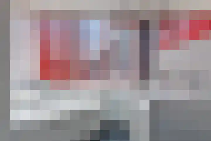 Kriekebos 35 Bergen op Zoom thumbnail 20