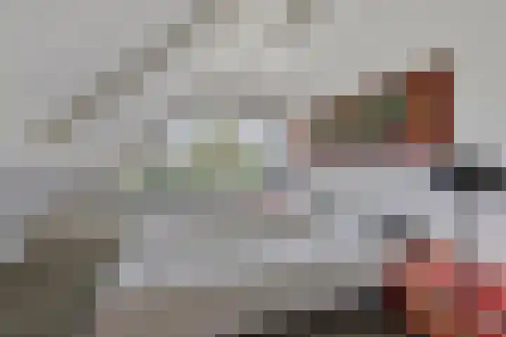 Kriekebos 35 Bergen op Zoom thumbnail 22