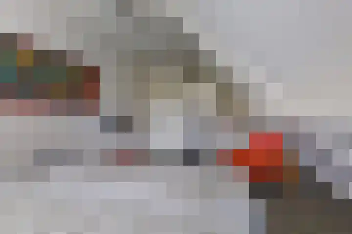 Kriekebos 35 Bergen op Zoom thumbnail 23