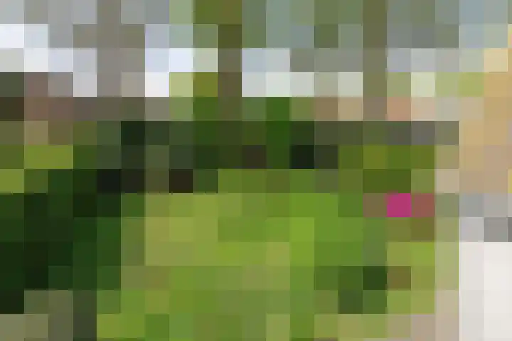Kriekebos 35 Bergen op Zoom thumbnail 30