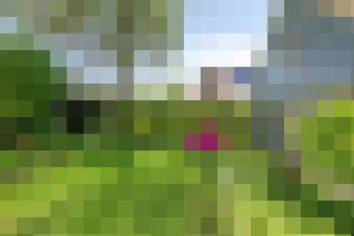 Kriekebos 35 Bergen op Zoom thumbnail 31