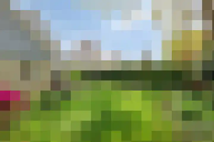 Kriekebos 35 Bergen op Zoom thumbnail 32