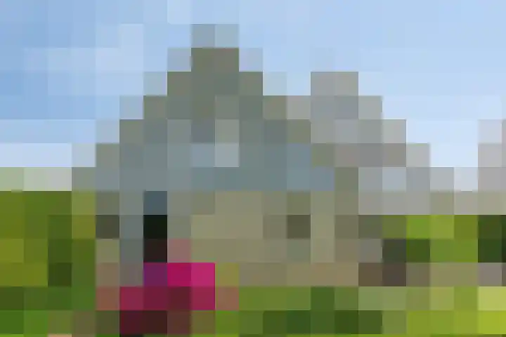 Kriekebos 35 Bergen op Zoom thumbnail 33