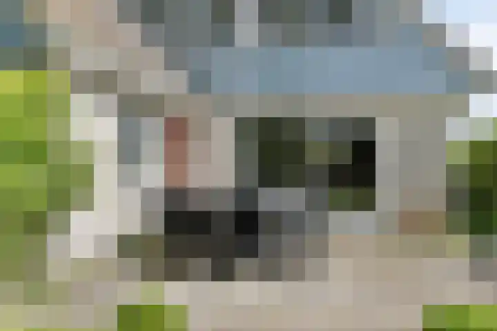 Kriekebos 35 Bergen op Zoom thumbnail 34