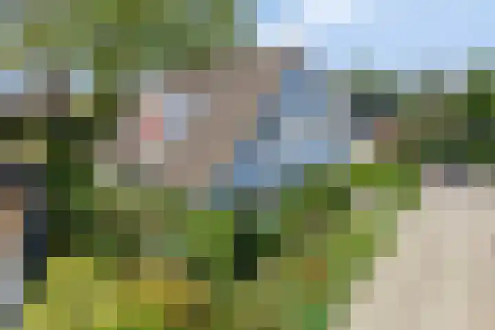 Kriekebos 35 Bergen op Zoom thumbnail 37