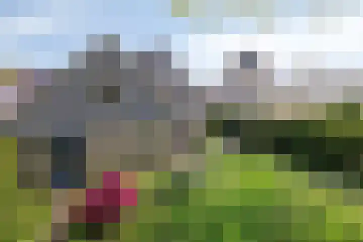 Kriekebos 35 Bergen op Zoom thumbnail 4