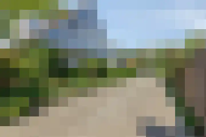 Kriekebos 35 Bergen op Zoom thumbnail 40