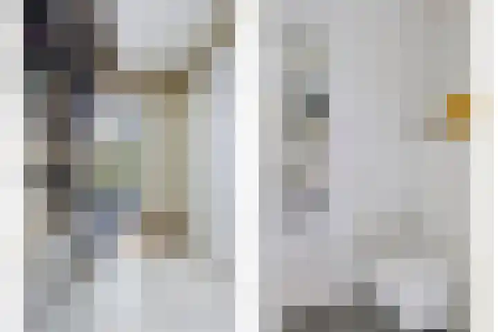 Kriekebos 35 Bergen op Zoom thumbnail 7