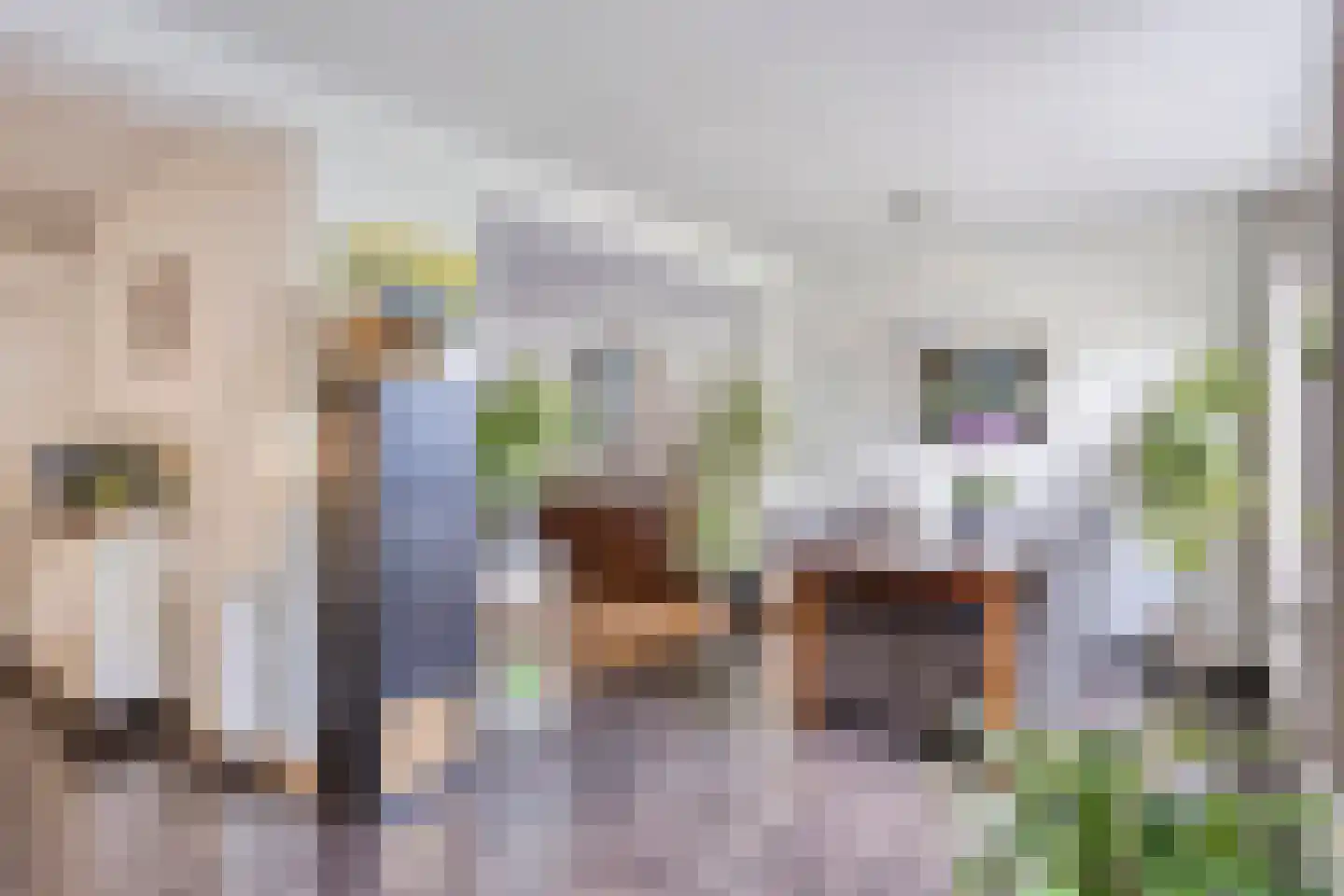 Kriekelaar 13 Geldrop thumbnail 10