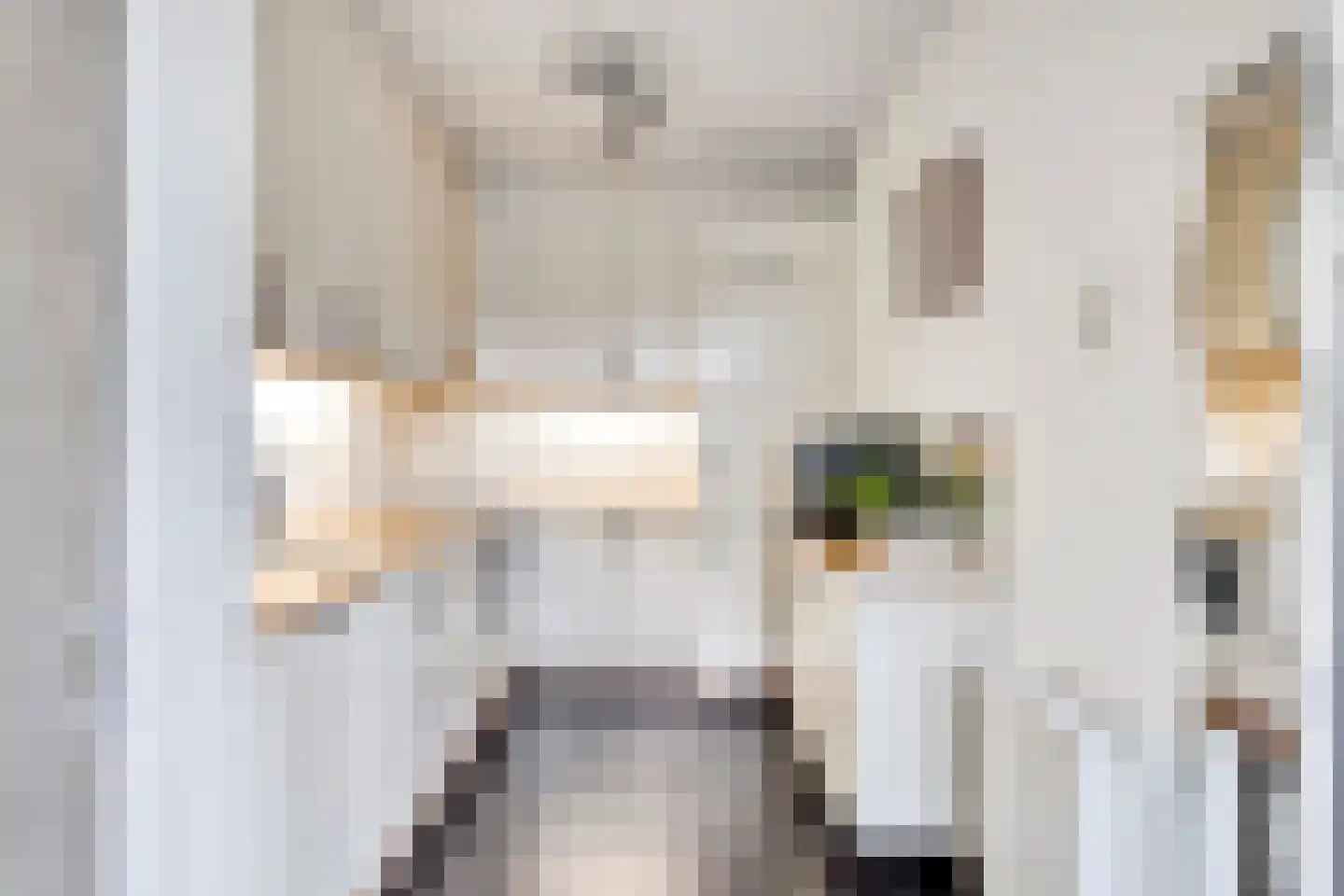 Kriekelaar 13 Geldrop thumbnail 12