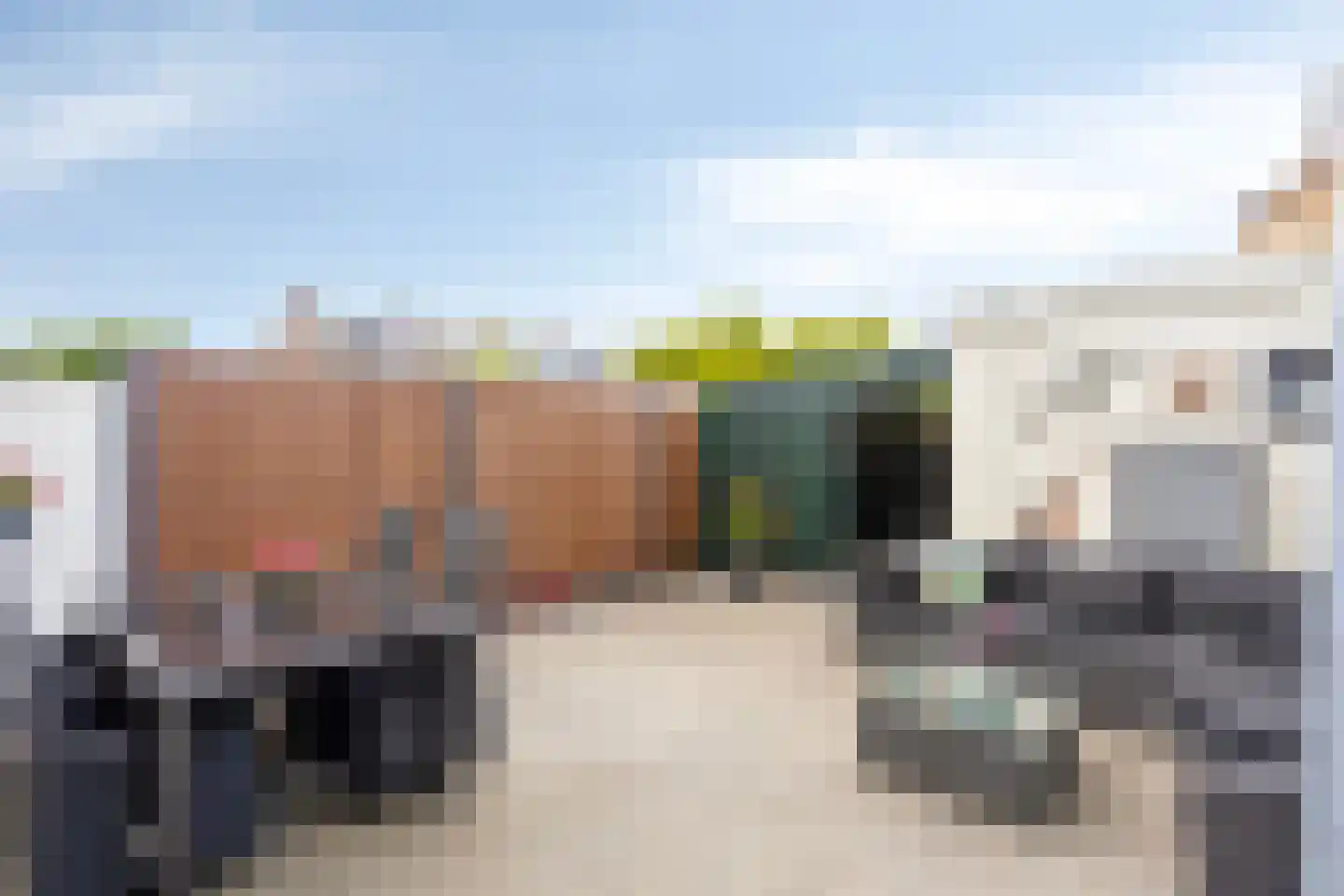 Kriekelaar 13 Geldrop thumbnail 22