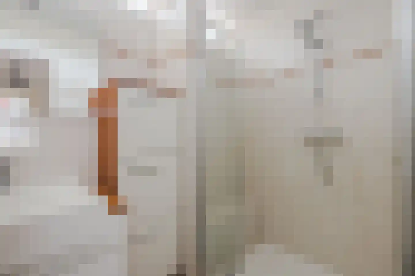 Kriekelaar 37 Geldrop thumbnail 22