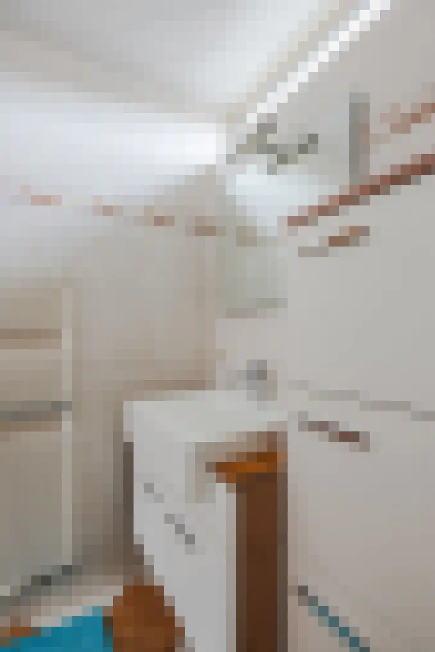 Kriekelaar 37 Geldrop thumbnail 24