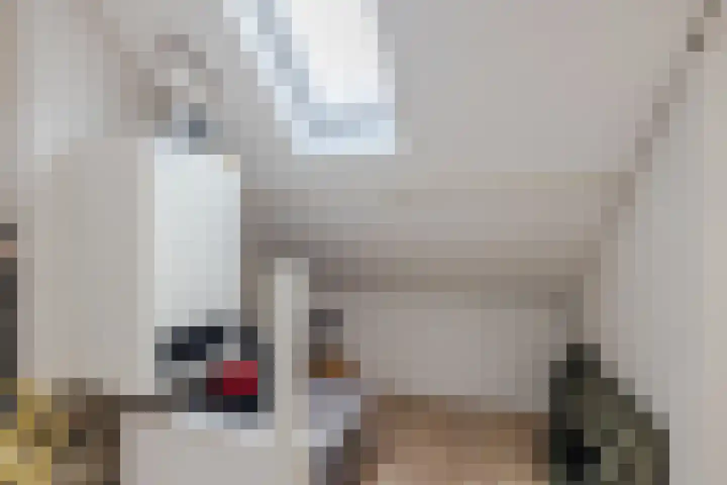 Kriekelaar 37 Geldrop thumbnail 27