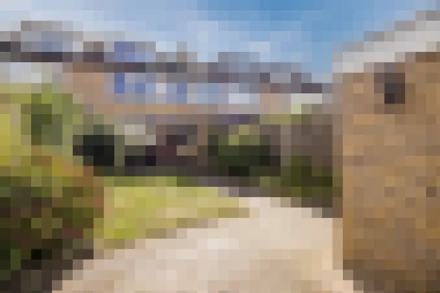 Kriekelaar 37 Geldrop thumbnail 31