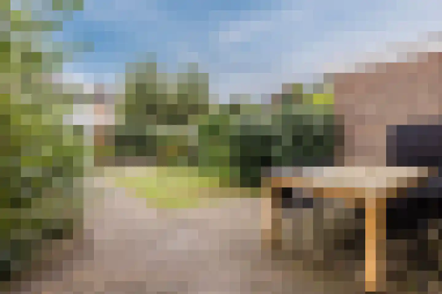 Kriekelaar 37 Geldrop thumbnail 33