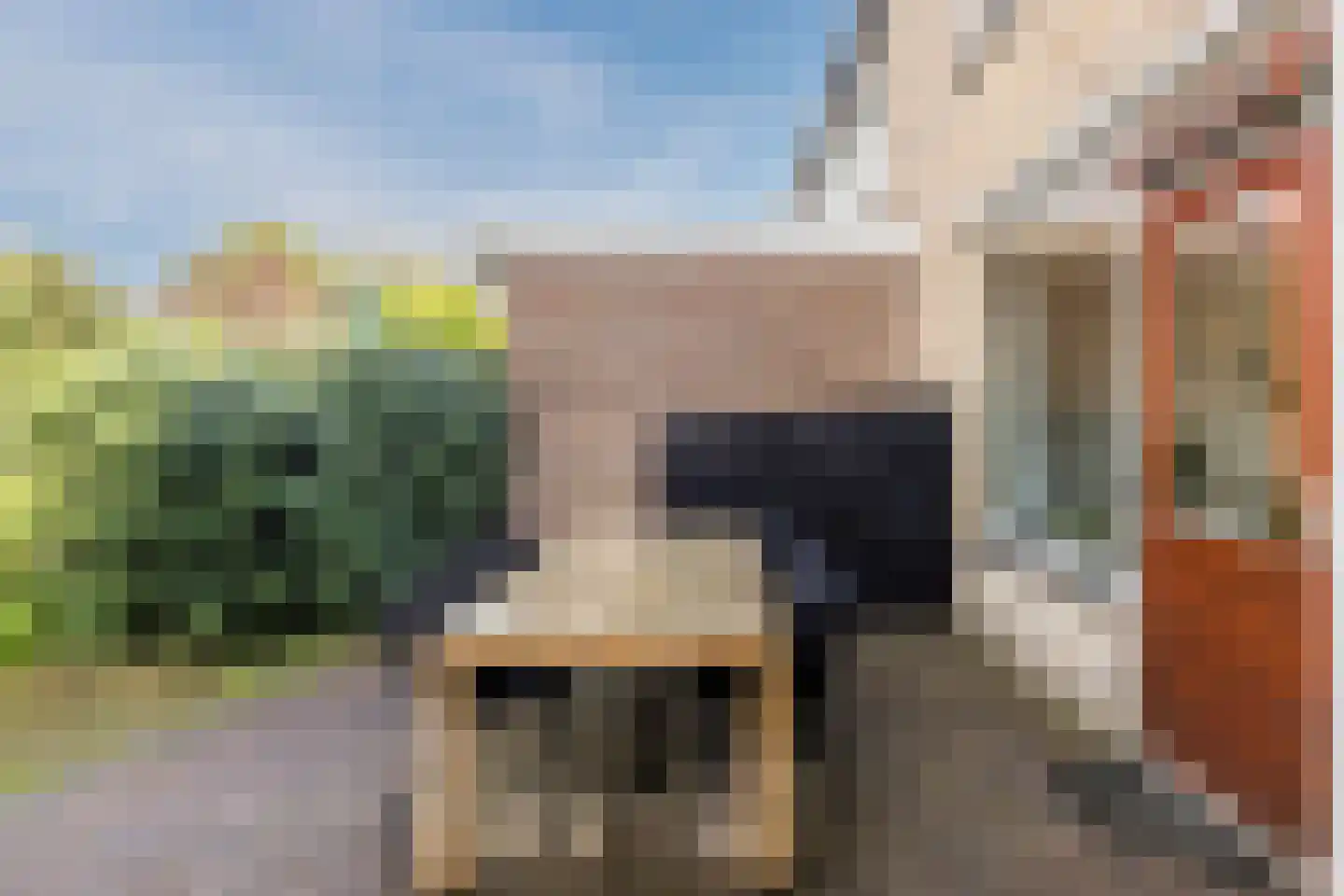 Kriekelaar 37 Geldrop thumbnail 34