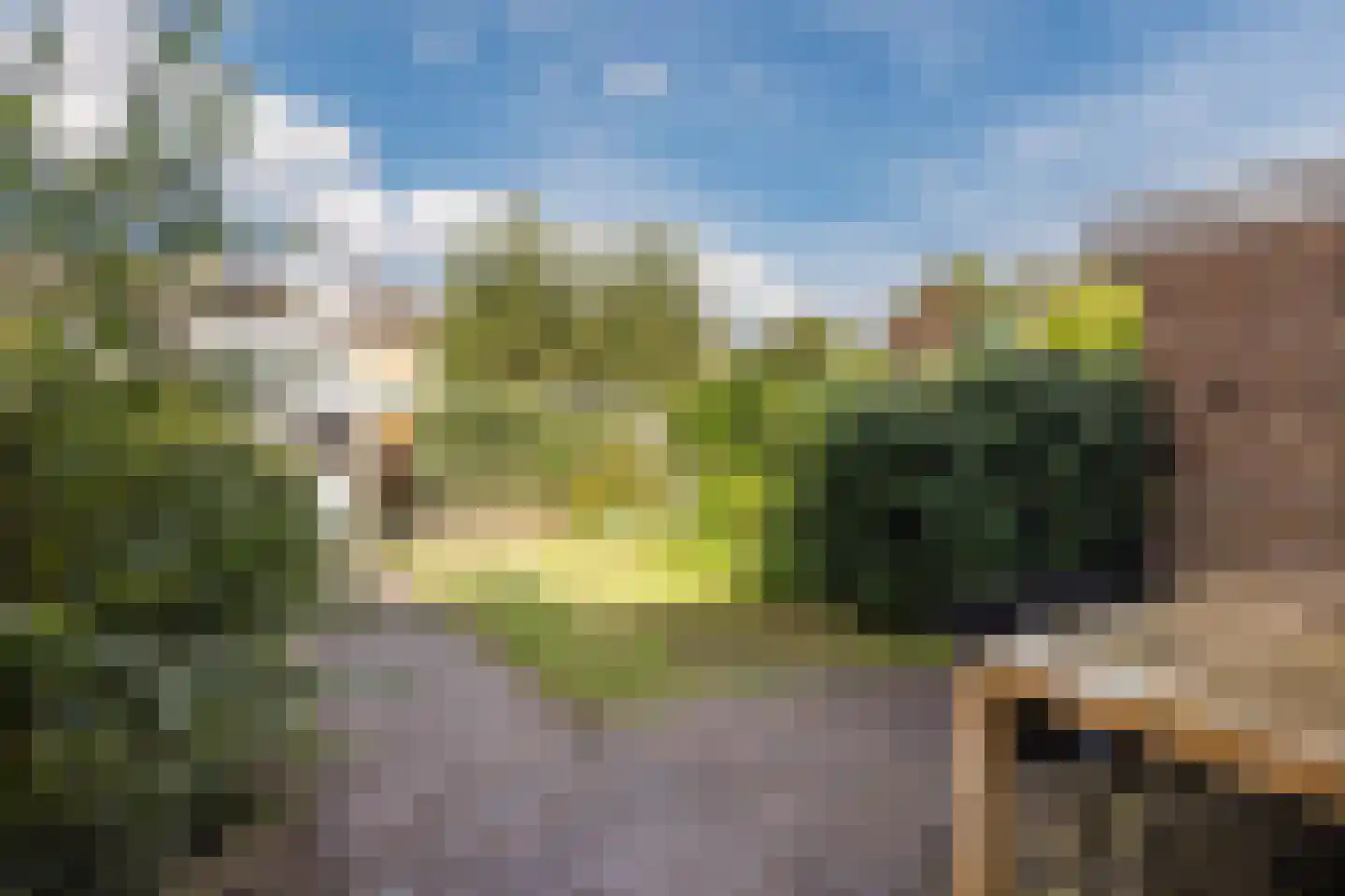 Kriekelaar 37 Geldrop thumbnail 35