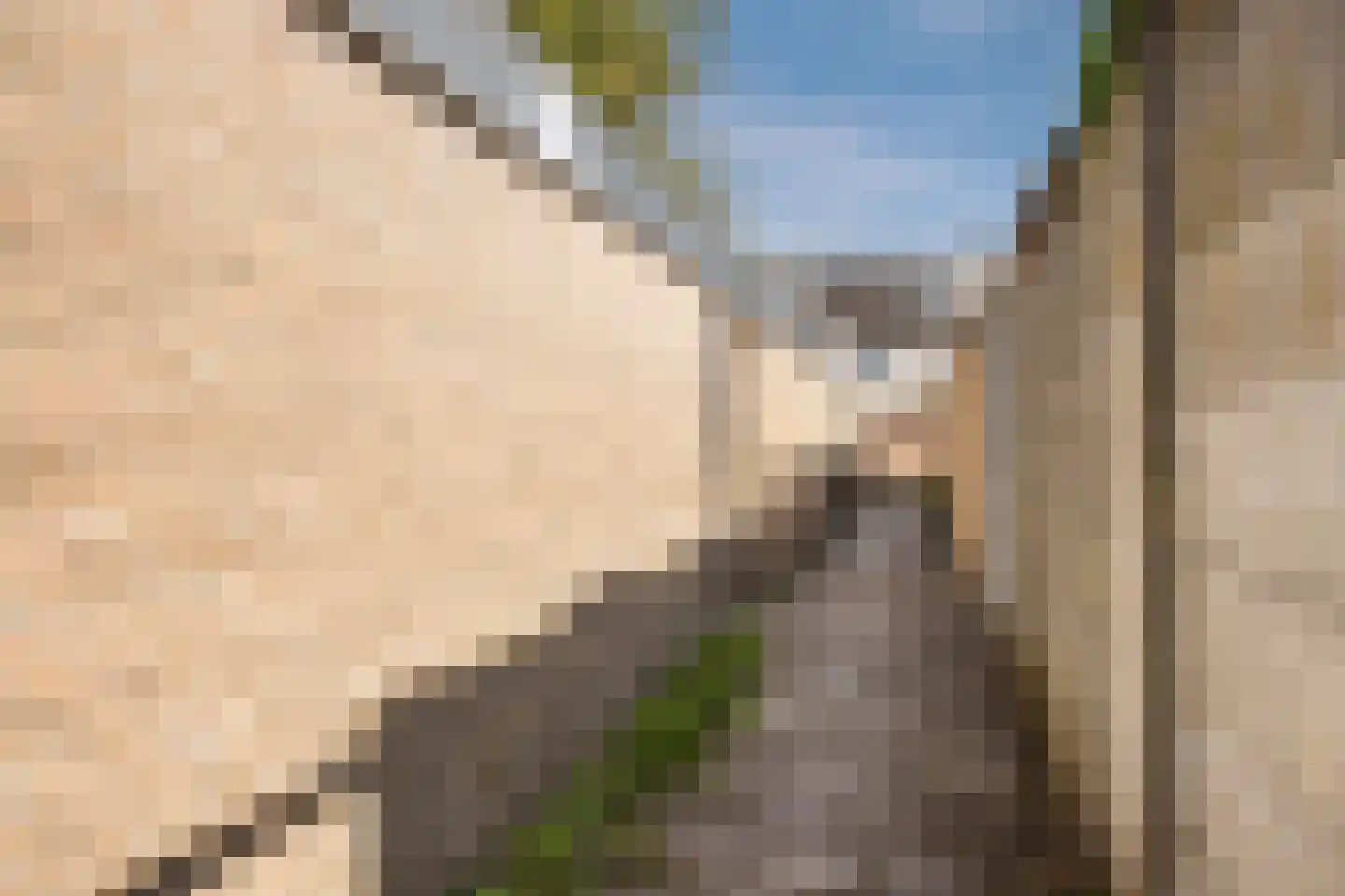 Kriekelaar 37 Geldrop thumbnail 38