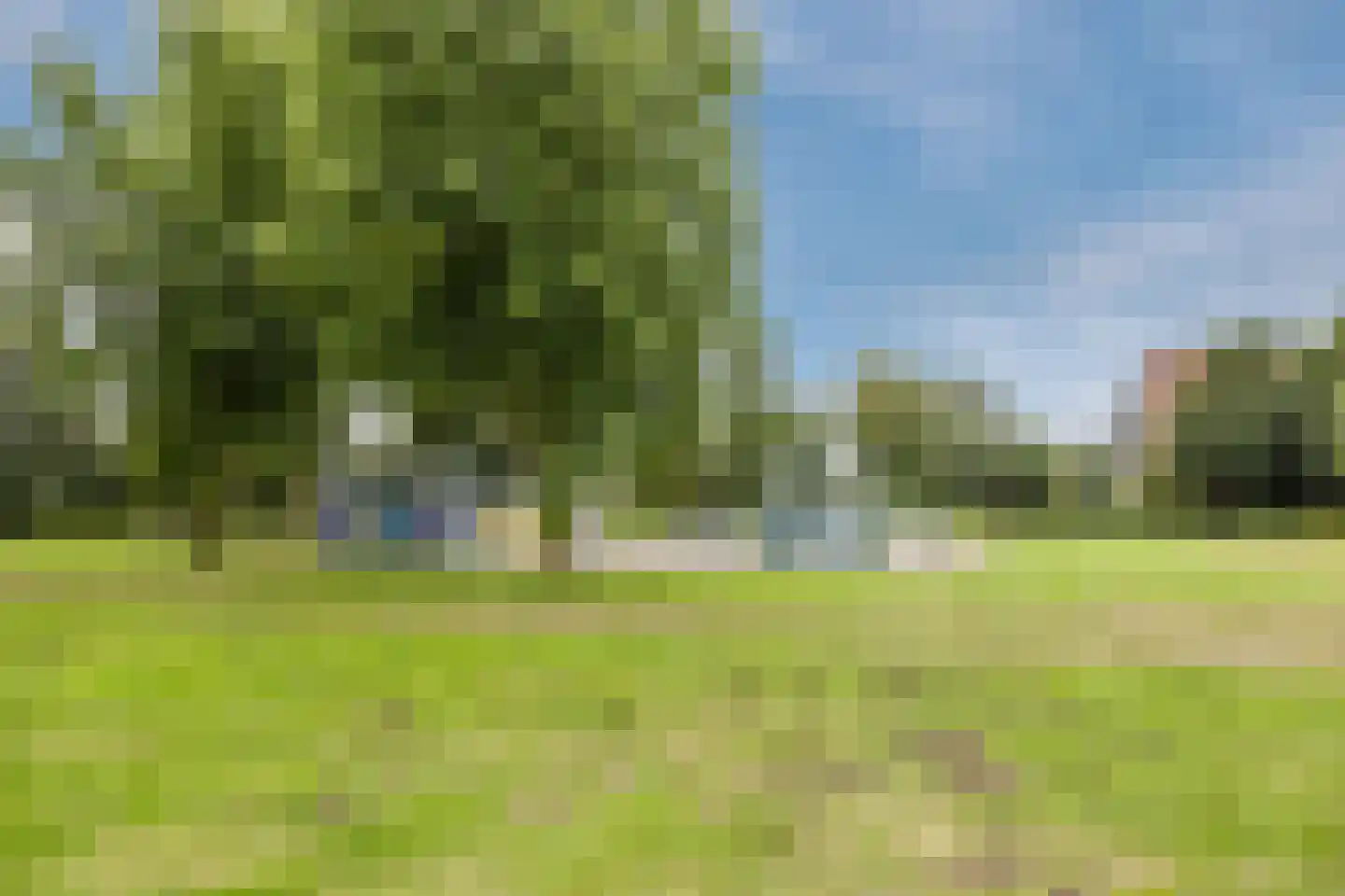 Kriekelaar 37 Geldrop thumbnail 46